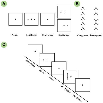 Altered hemispheric asymmetry of attentional networks in patients with pituitary adenoma: an event-related potential study